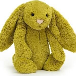 Jellycat Zingy bunny NWT retired